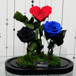 Forever Roses - Forever Love Blue Black