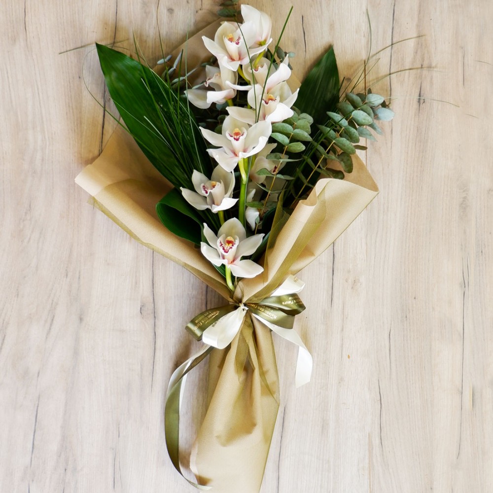 White Cymbidium - A clone of white orchid cimbidium with a variety of foliage & impressive wrapping!