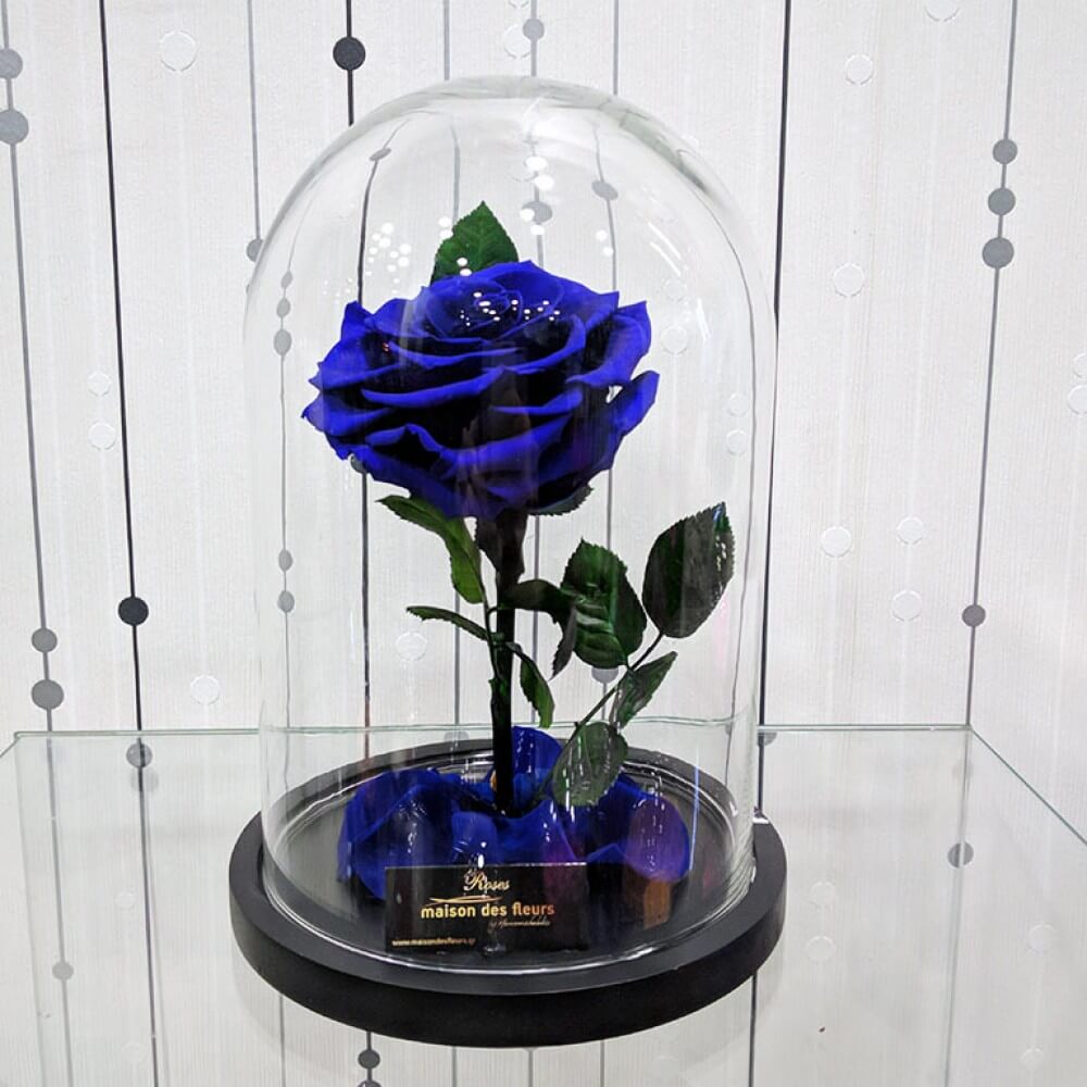 Forever Roses - Forever big blue 