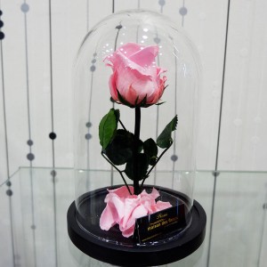 Forever Roses - Forever Light Pink