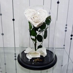 Λουλούδια Αγάπης - Forever Roses - Forever Love White