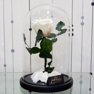 Forever Roses White 1