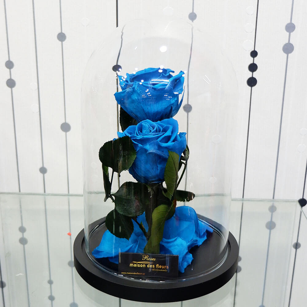 Forever Roses - Forever Light Blue Duo