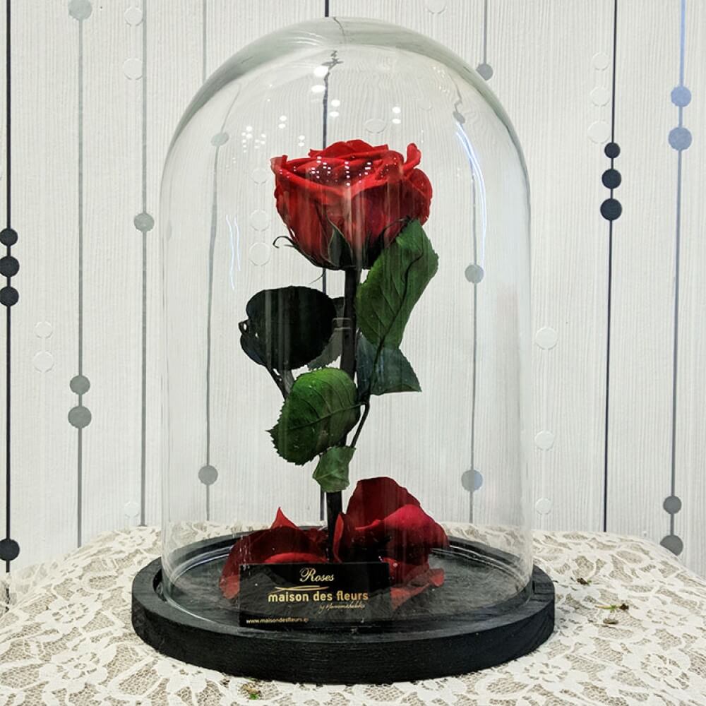 Λουλούδια Αγάπης - Forever Roses - Forever Red