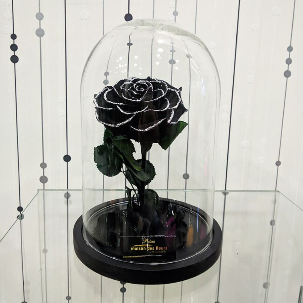 Forever Roses - Forever special black