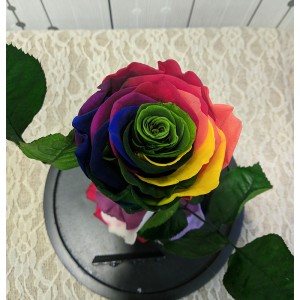 Forever Roses - Forever Rainbow 3
