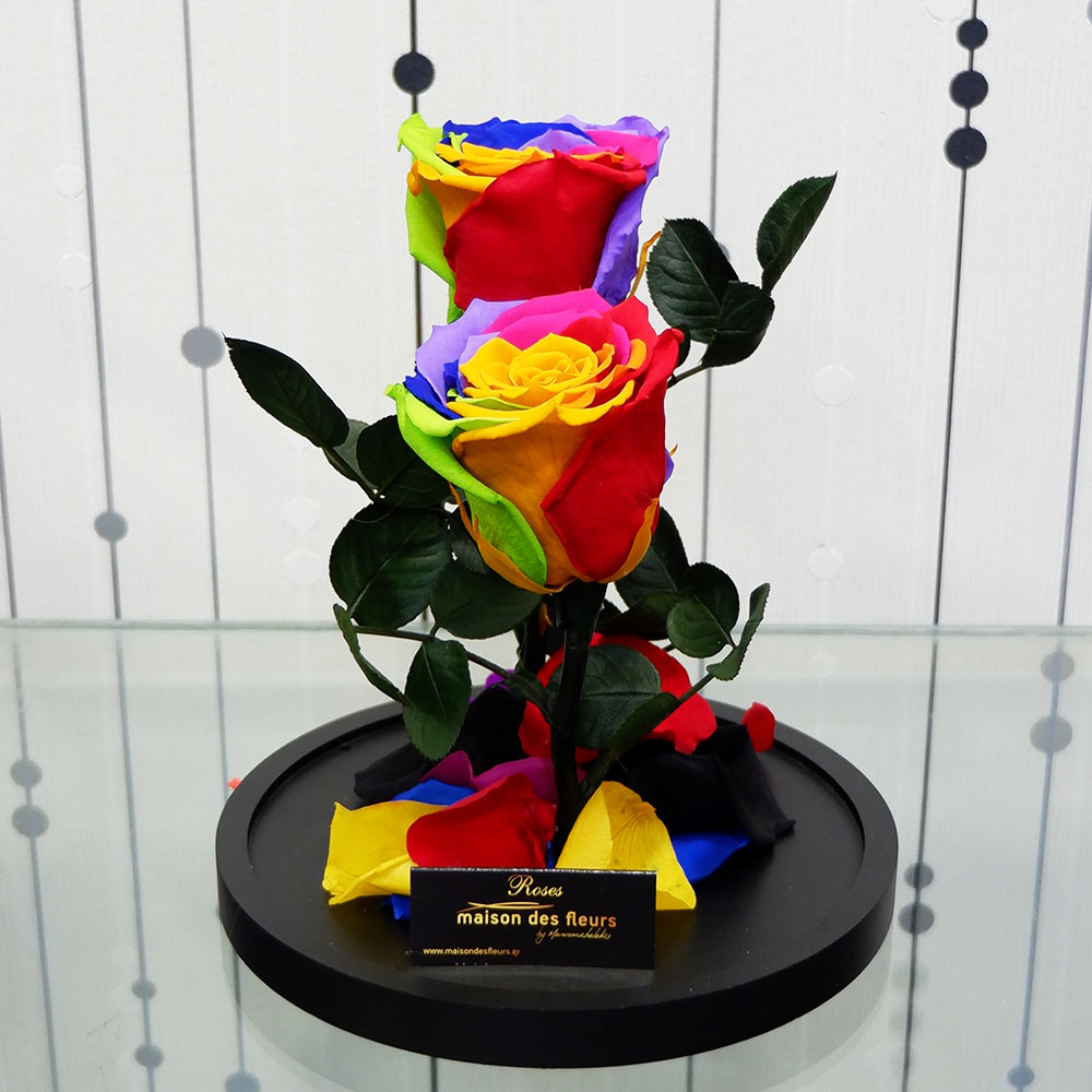 Forever Roses - Forever Rainbow Duo