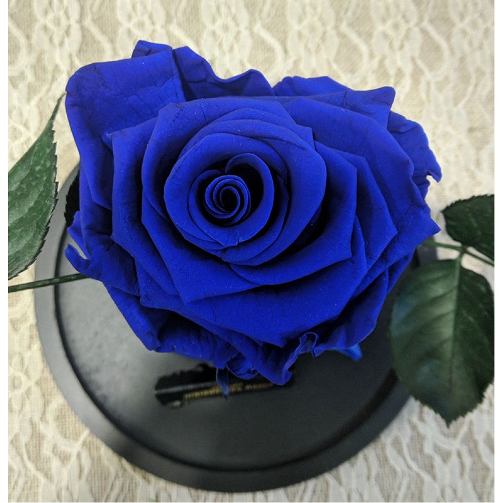 Forever Roses - Forever blue 2